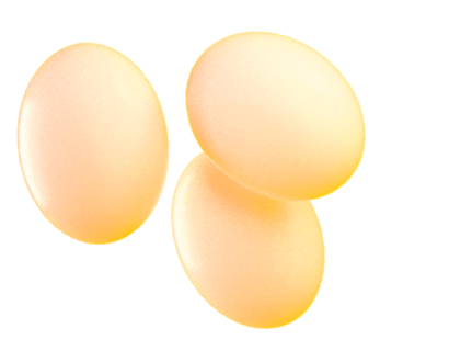 huevos