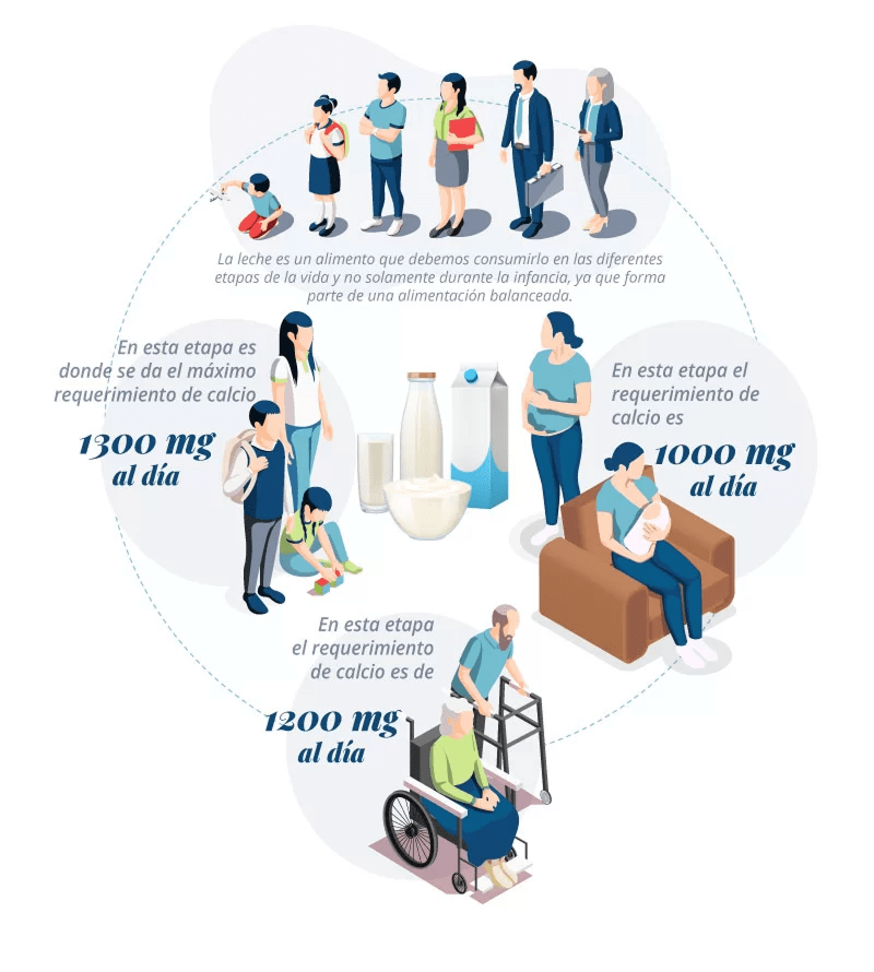 ¿Es cierto que tomar leche de vaca luego de la infancia no sirve?